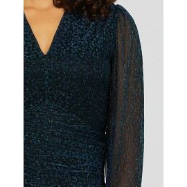 Long Balloon Sleeve Animal Print Top